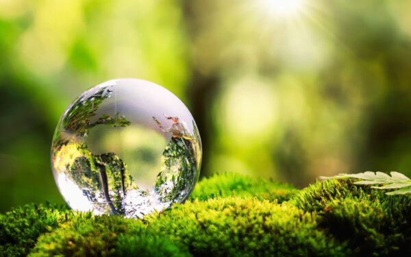 Green Technologies Consultation